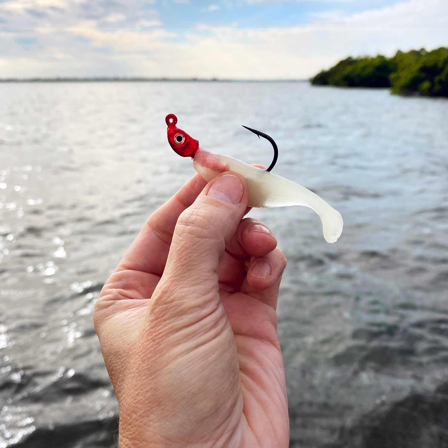 Charlie's Worms Saltwater Jighead rigged Baby Shad