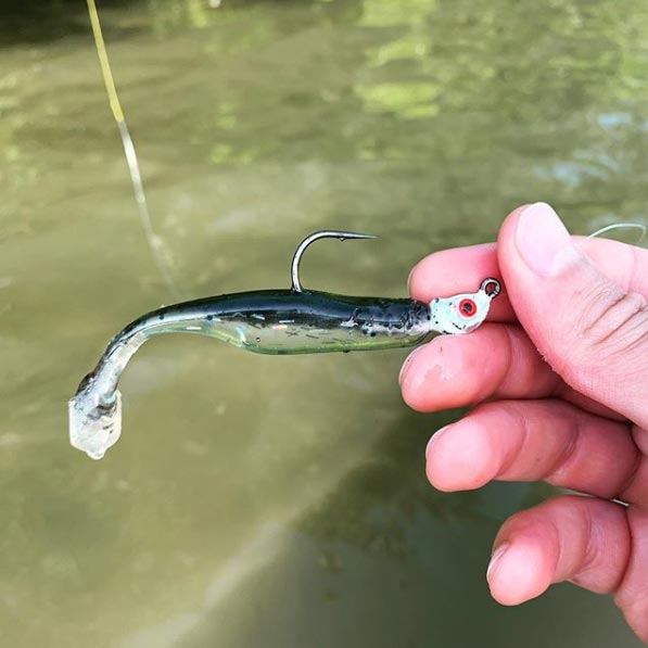 Charlie's worms viper minnow and jig head